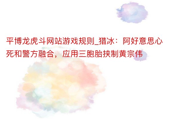 平博龙虎斗网站游戏规则_猎冰：阿好意思心死和警方融合，应用三胞胎挟制黄宗伟