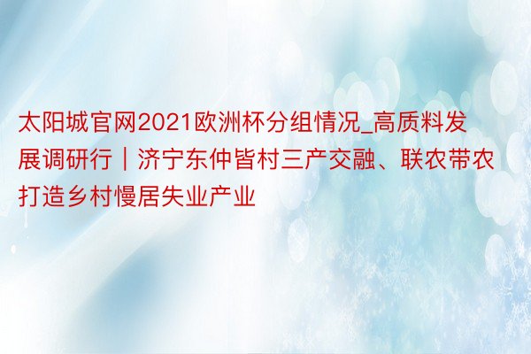 太阳城官网2021欧洲杯分组情况_高质料发展调研行｜济宁东仲皆村三产交融、联农带农 打造乡村慢居失业产业