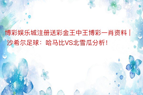 博彩娱乐城注册送彩金王中王博彩一肖资料 | 沙希尔足球：哈马比VS北雪瓜分析！