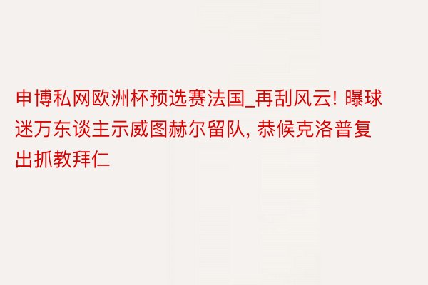 申博私网欧洲杯预选赛法国_再刮风云! 曝球迷万东谈主示威图赫尔留队, 恭候克洛普复出抓教拜仁