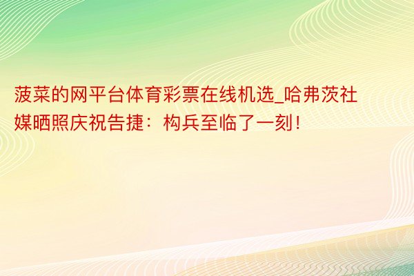 菠菜的网平台体育彩票在线机选_哈弗茨社媒晒照庆祝告捷：构兵至临了一刻！